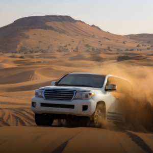 Desert Safari with Dune Bashing in Dubai