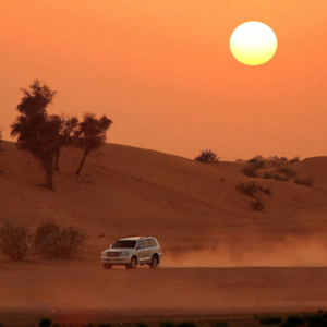 Overnight Safari Abu Dhabi
