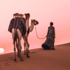 Sunrise Desert Safari