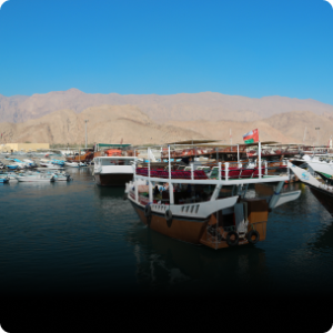 Musandam Dibba Tour