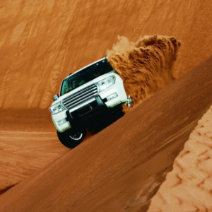 Liwa Safari