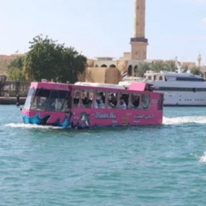 Wonder Bus Sea And Land Adventure Tours