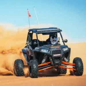 Desert Buggy Driving Experience
