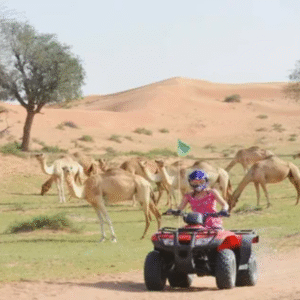 Mega Safari With Dinner In Ras Al Khaimah