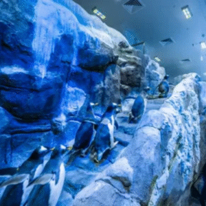 Dubai Aquarium and Penguin Encounter