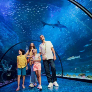 Seaworld From Dubai