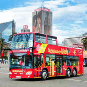 Big Bus Sightseeing Tour