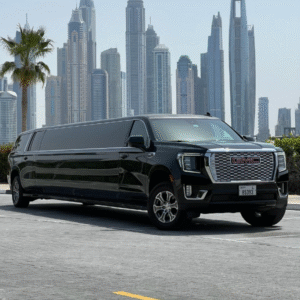 All Type Stretch limo Available