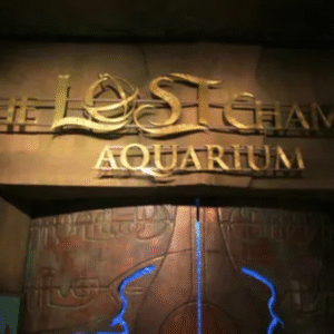 The Lost Chambers Aquarium Tickets