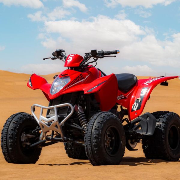 WhatsApp Image 2026-01-16 at 2.52.09 PM