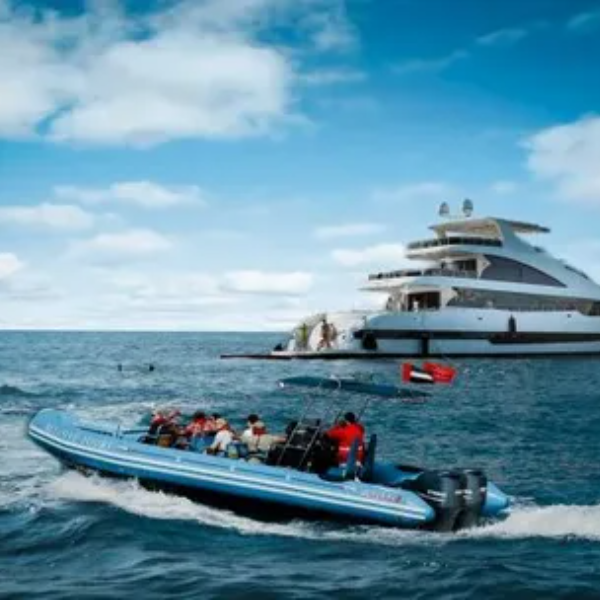 image-600x600 - 2025-09-18T204534.404