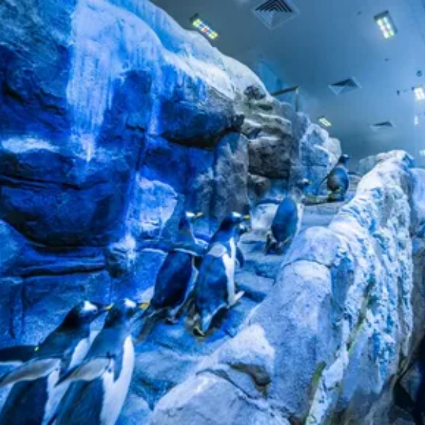 image-600x600 - 2025-09-23T162024.495