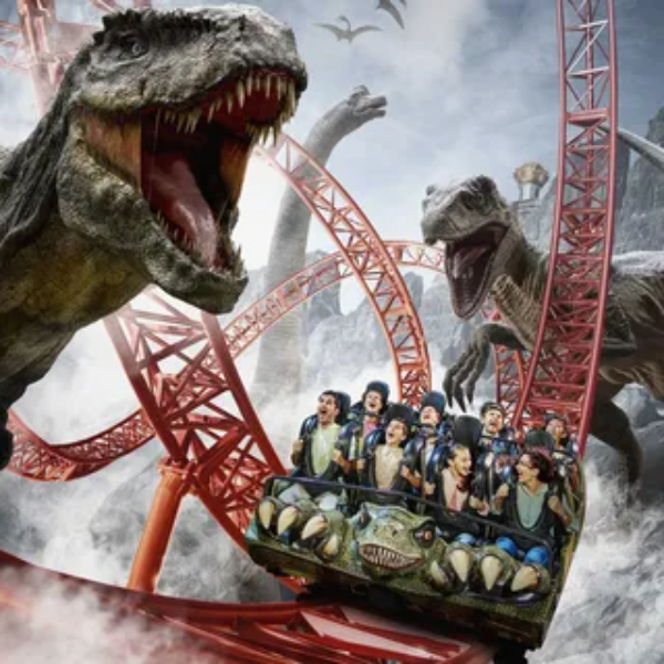 image-600x600 - 2025-09-23T202307.563