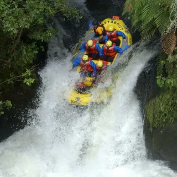 image-600x600 - 2025-09-25T164657.308