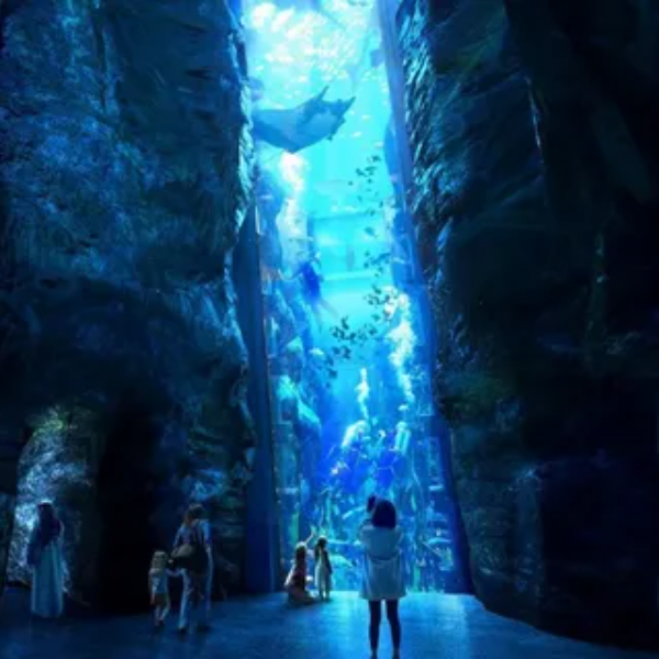 image-600x600 - 2025-09-25T190927.177