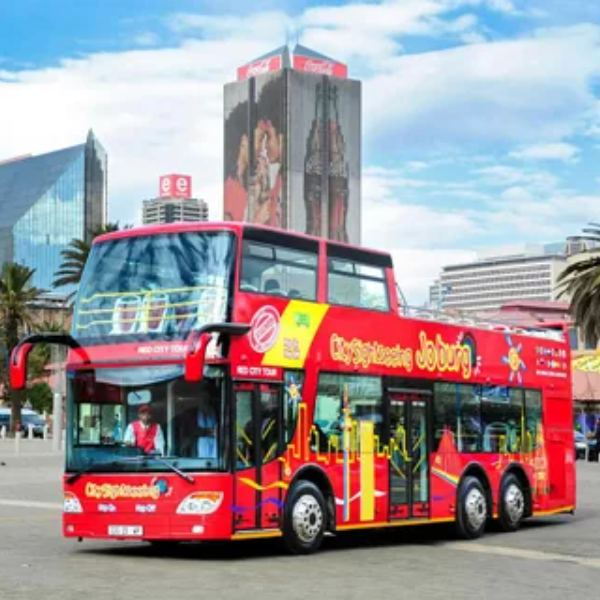 image-600x600 - 2025-09-25T200820.435