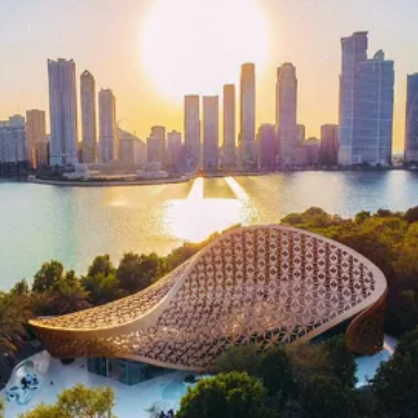 image-600x600 - 2025-10-30T183522.823